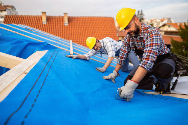 Best Roof Gutter Cleaning  in Union City, GA