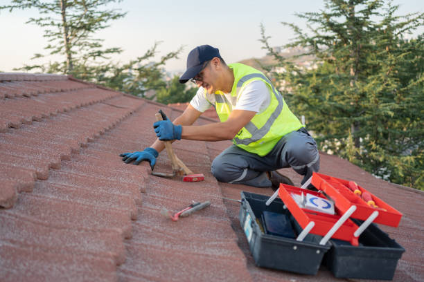 Best Metal Roofing Contractor  in Union City, GA